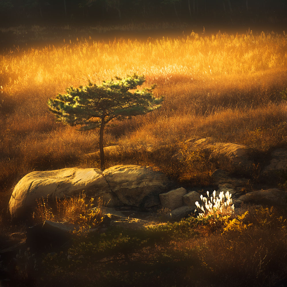 大众摄影俱乐部联赛秦皇岛获奖作品欣赏(持续