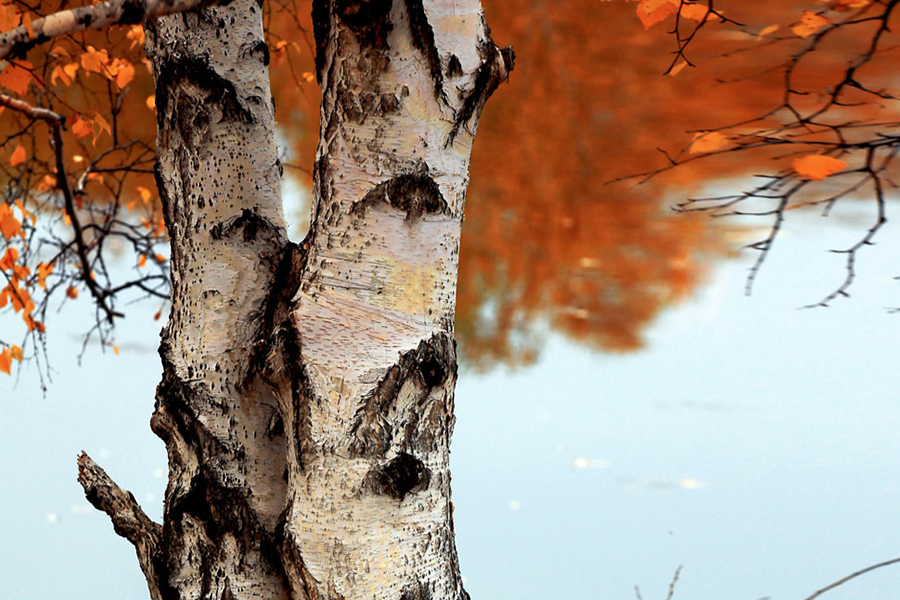 秋之恋-《大众摄影》俱乐部团体会员--江苏论坛