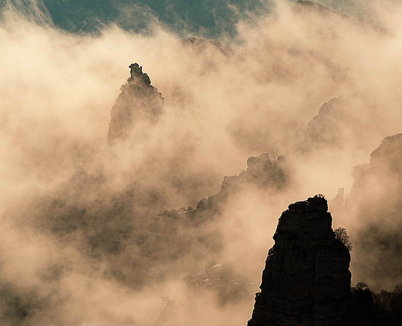 邳州银杏美景摄影创作采风活动免费招募10月