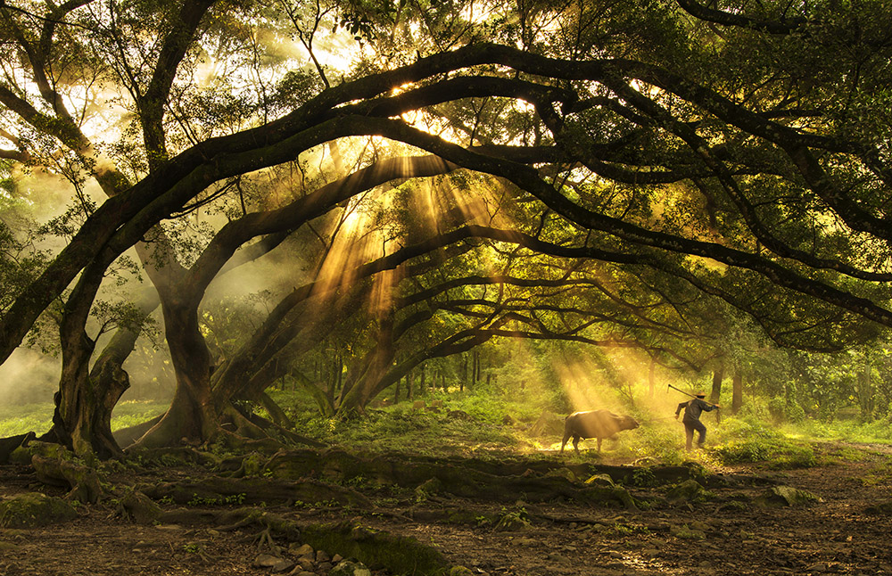 2017年大众摄影全国俱乐部联赛4月份投稿区