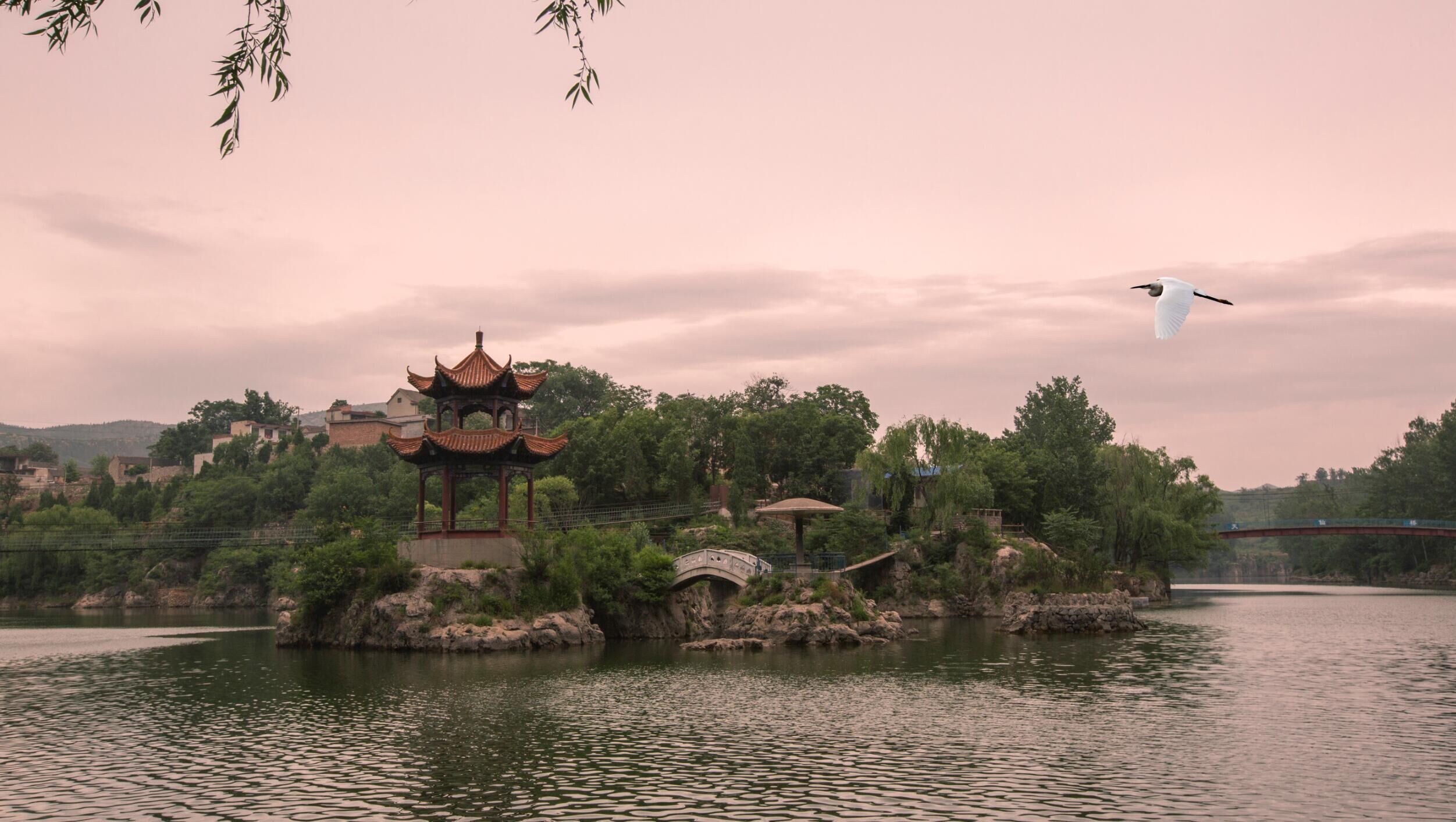 飞翔《大众摄影》全国俱乐部联赛2017年第5期