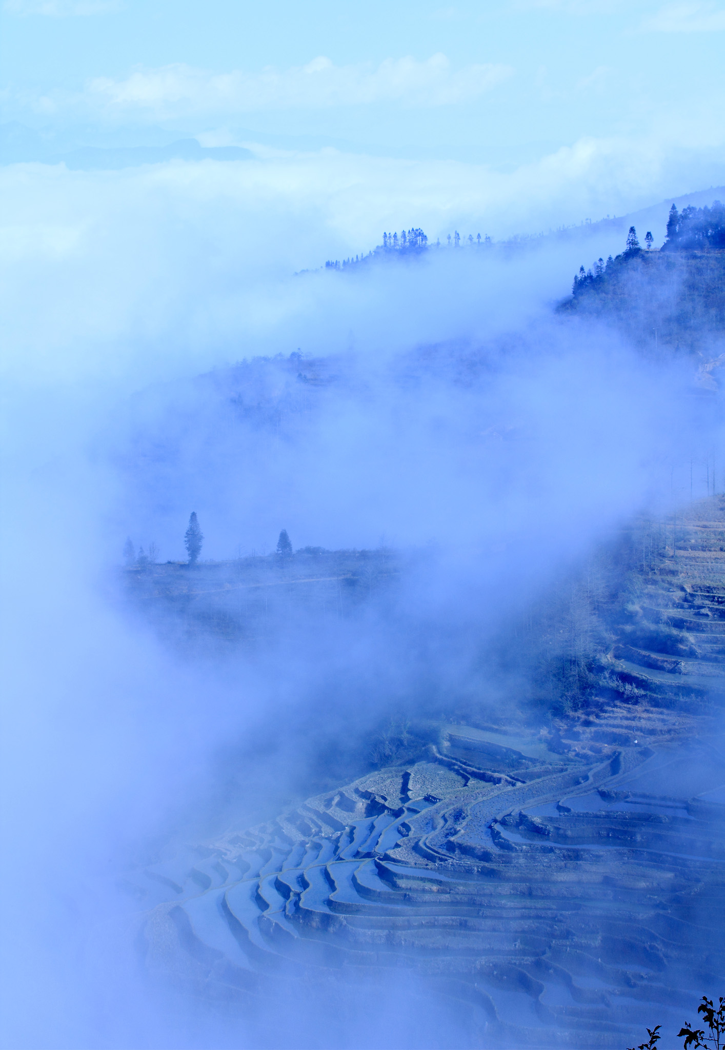 第五届中国好风光全国摄影大展--杏花村站免费招募专贴