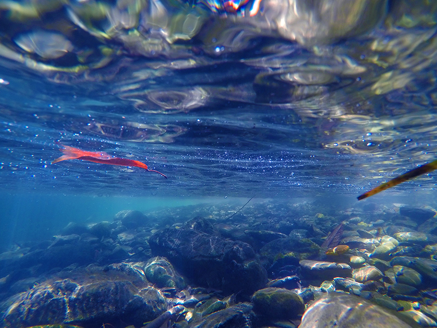 《水中漂》(大山村)17.5.13-中国原生态最美山