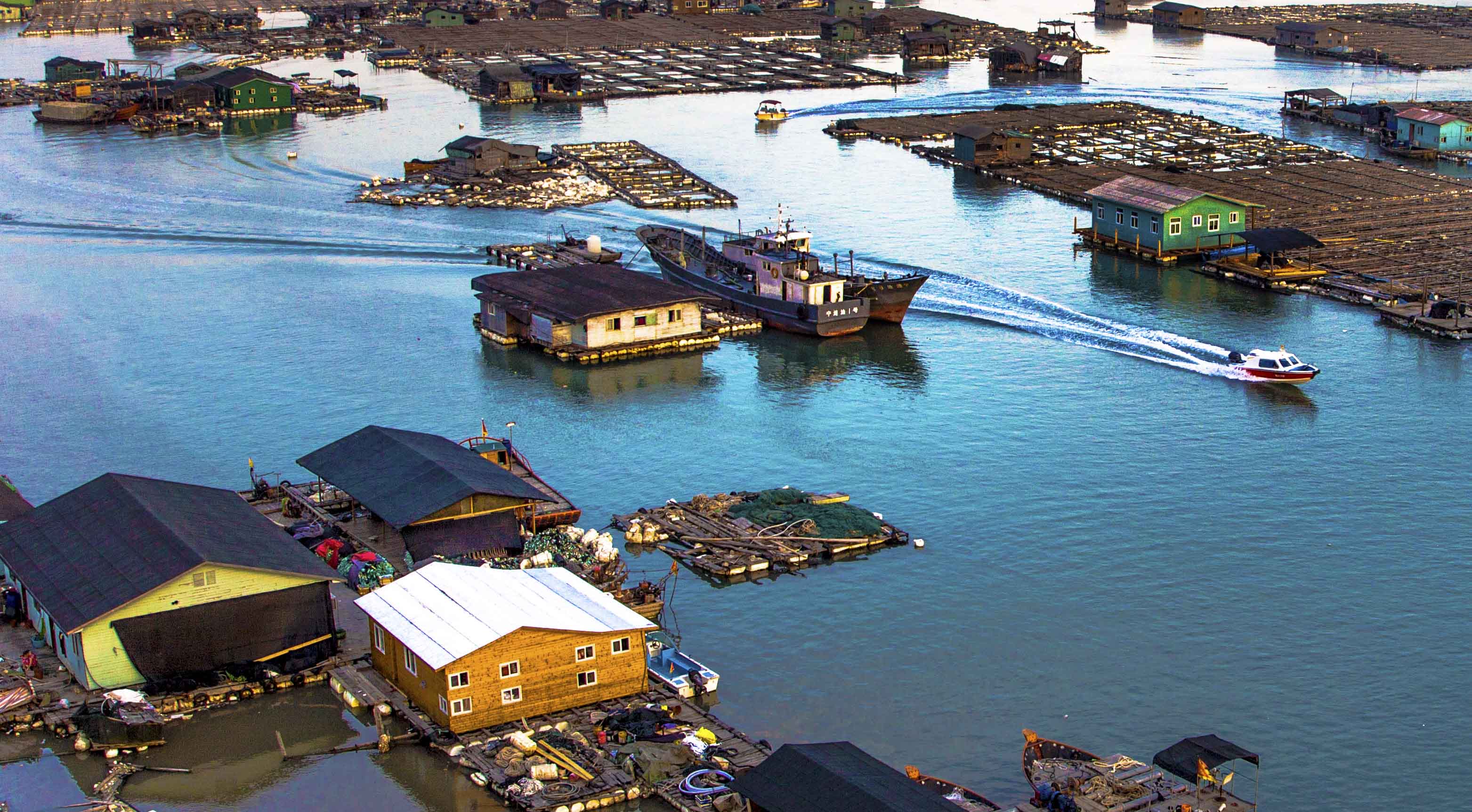 青山活力。张尚镯于2017.7摄于三都澳青山岛