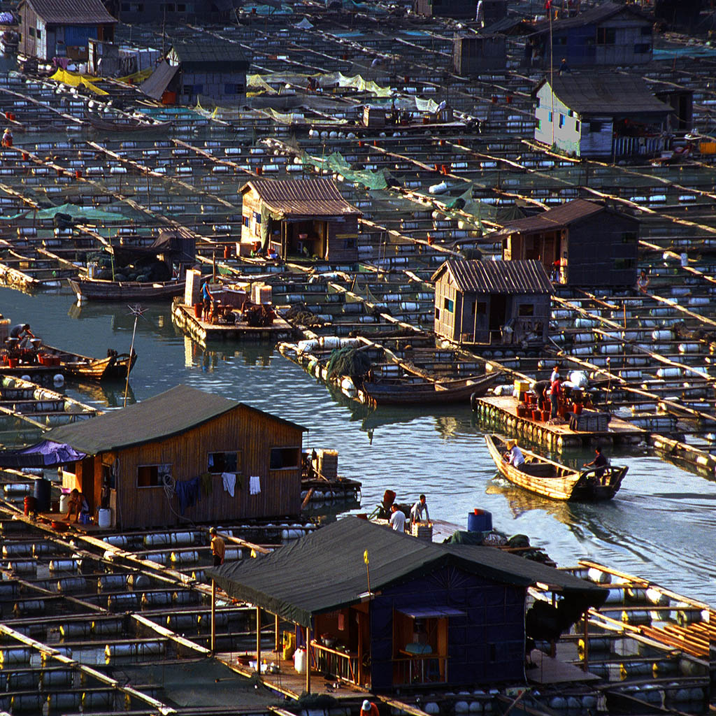 组图4幅 诗意的栖居 2015年摄于三都澳-“翠屏湖杯”第九届宁德好风光全国摄影艺术展投稿区-大众摄影网 -