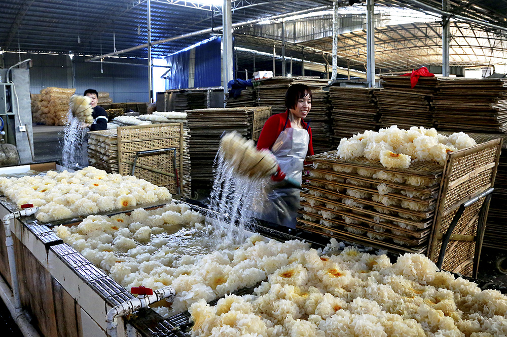 AC米兰官网-迎着春天向新而行！