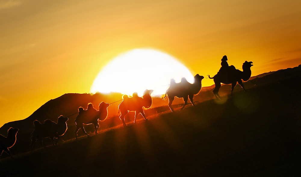 大漠驼铃-摄影小镇--金峰视界金峰杯乡土中
