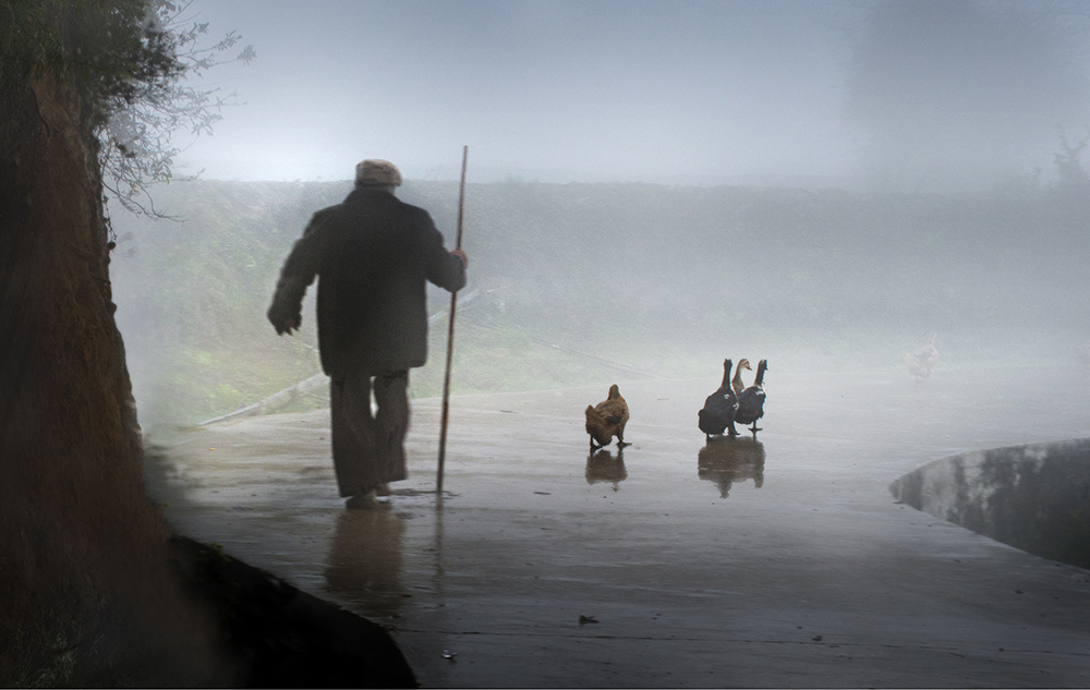 老人与鸭子-《大众摄影》俱乐部团体会员--大连