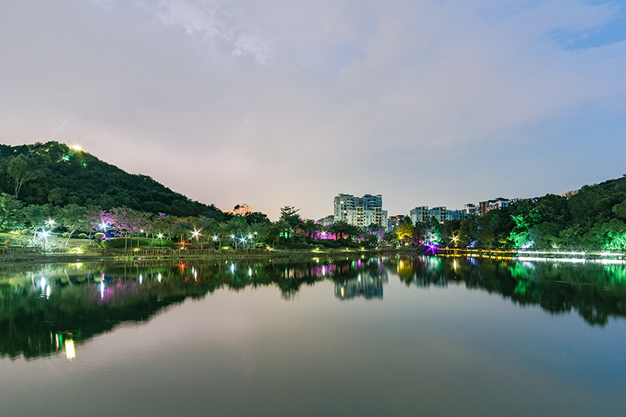 《风雨洗礼》-魅力厦门湾 多彩漳州港全国摄