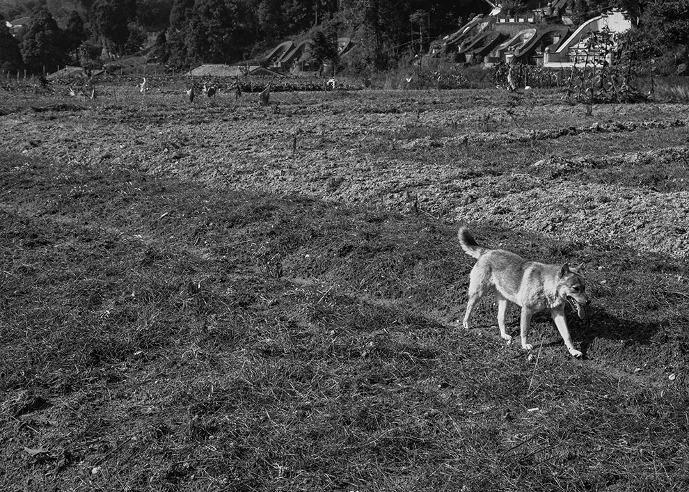 空壳村-包商银行杯全国第八届小企业贷款专
