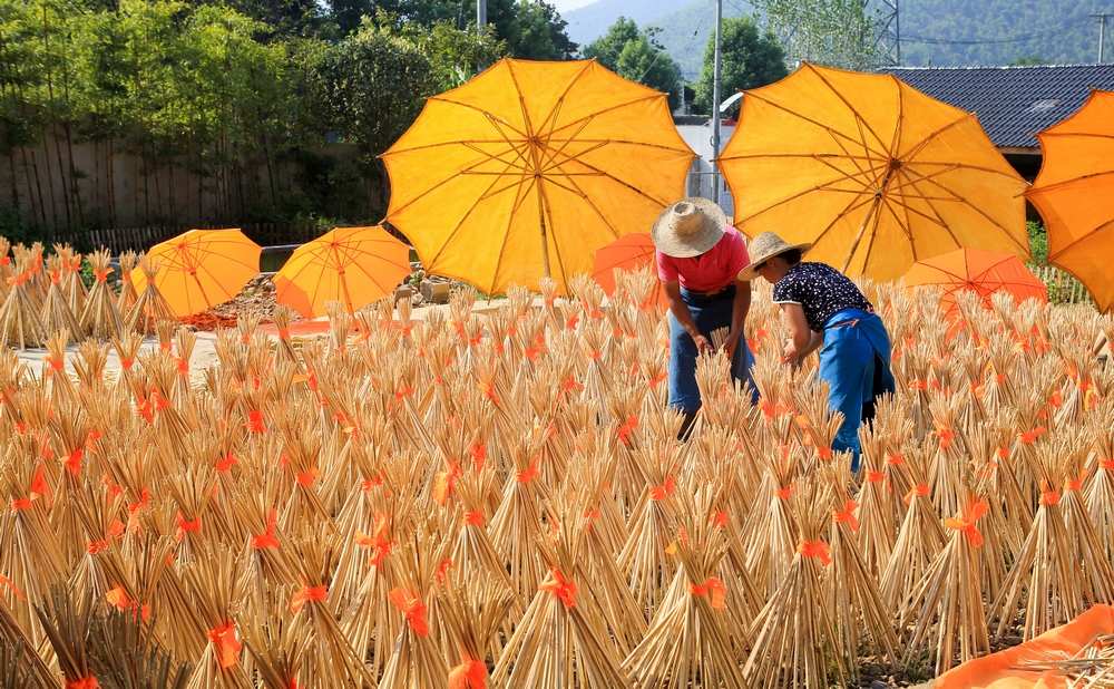 竹伞制作-第三届福能杯·能源与环境全国摄