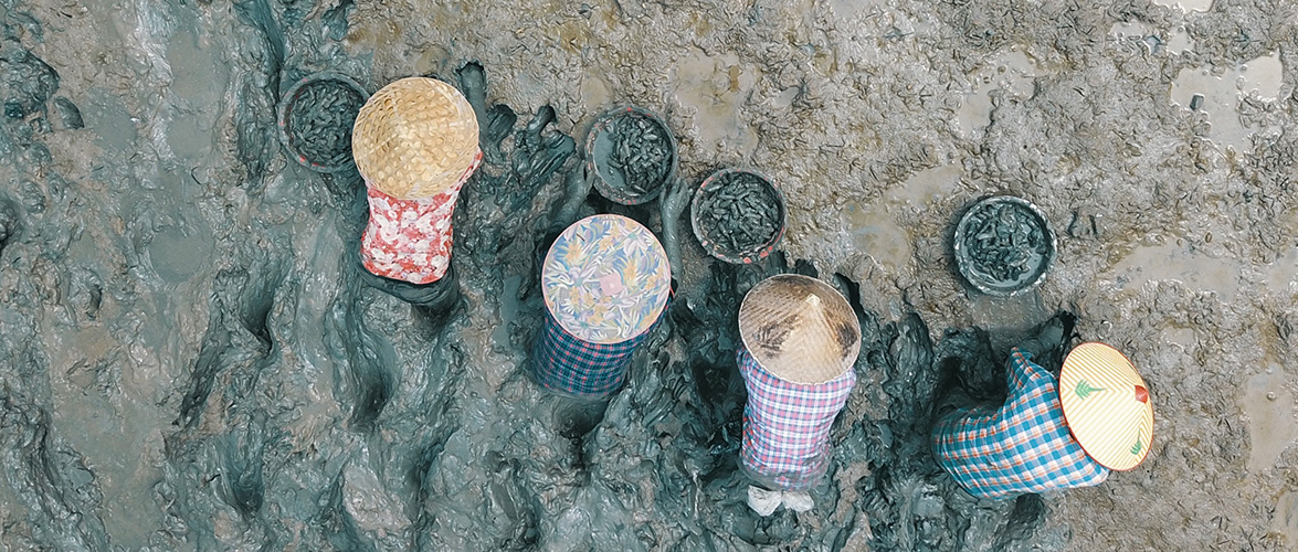 《收蛏记》专题组图-翠屏湖杯第九届宁德好