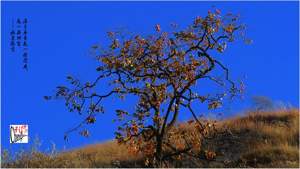 人生感言十则-《大众摄影》俱乐部团体会员--山