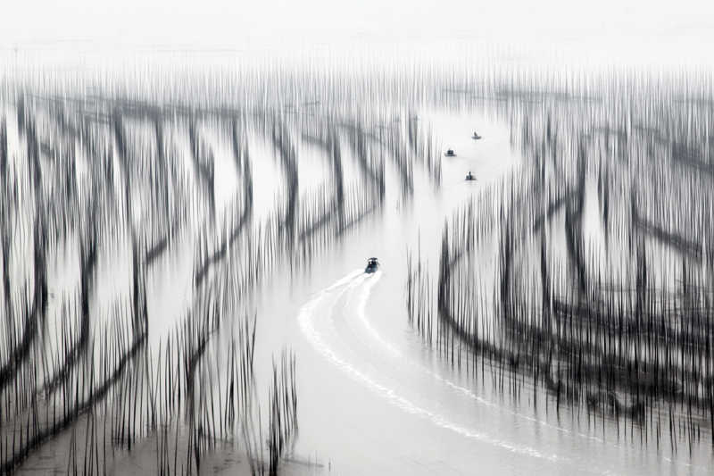 阡陌交通-翠屏湖杯第九届宁德好风光全国摄