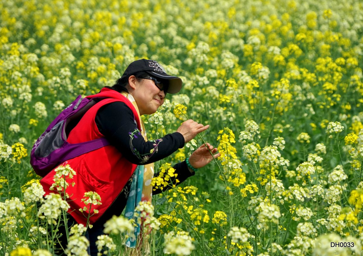 沁人心脾-千年古镇 高新黄埭 砥砺奋进再创辉
