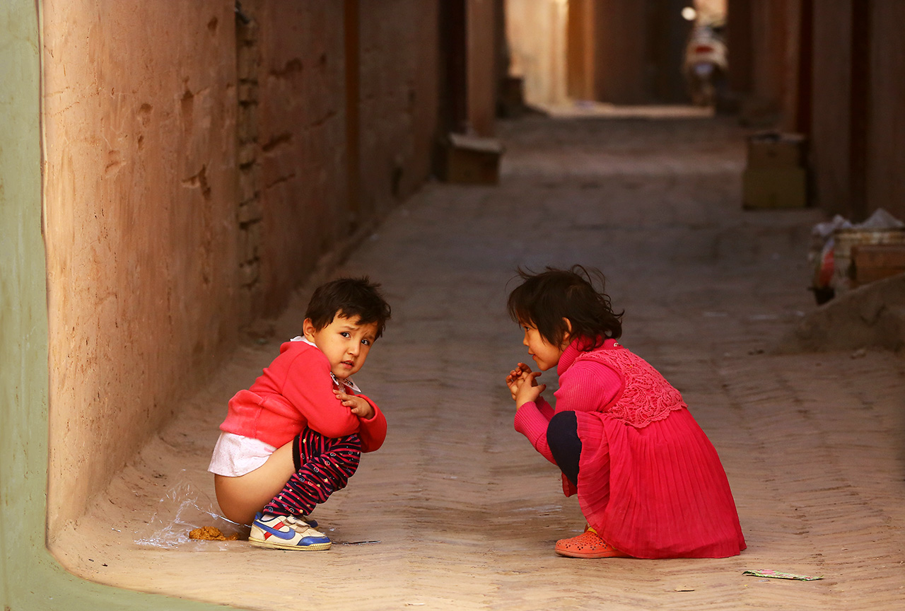 拉粑粑也有人陪
