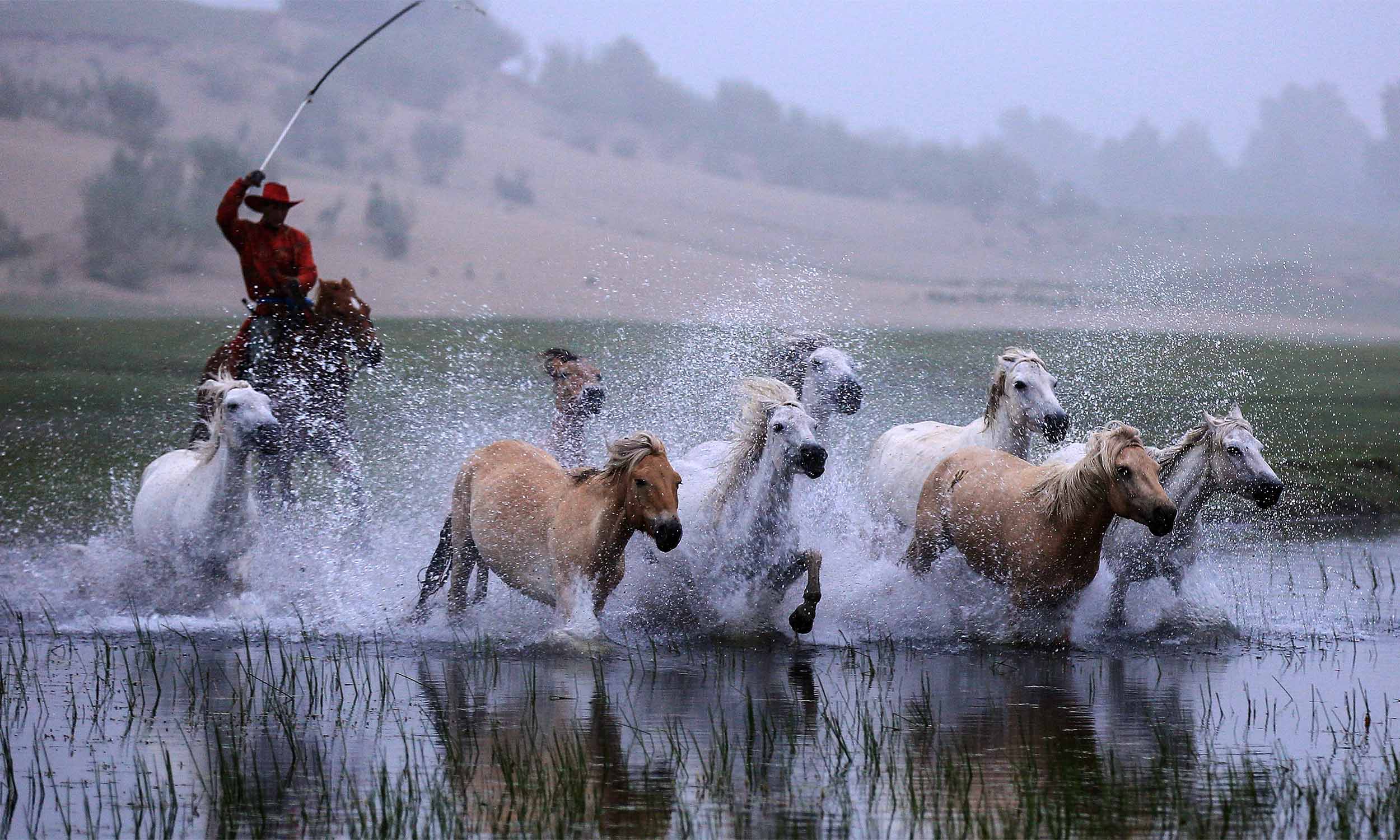 策马扬鞭-《大众摄影》俱乐部团体会员--安徽论