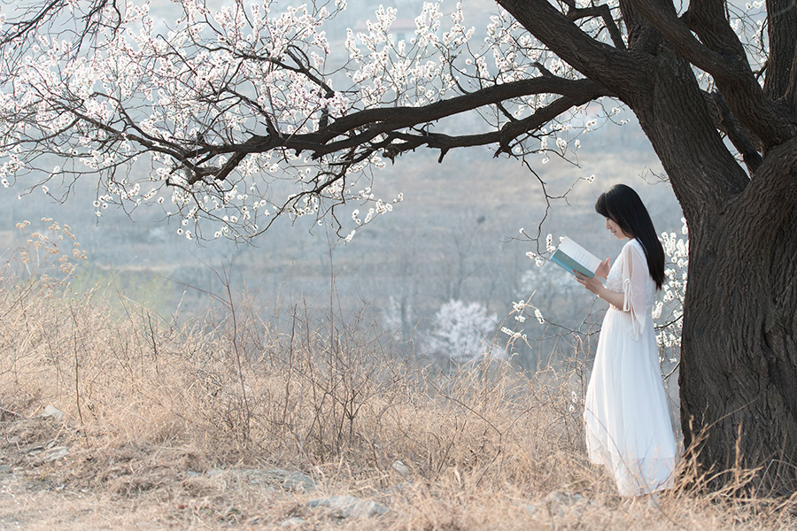 读书不觉已春深