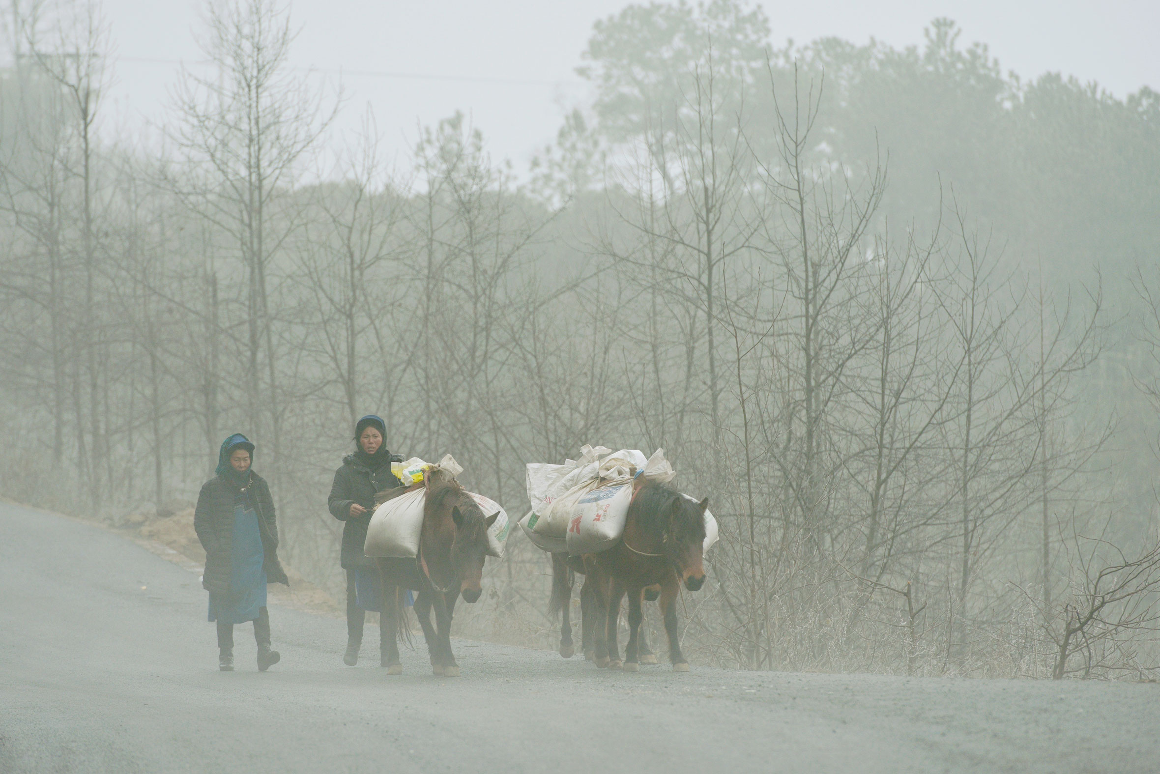 《赶集》作者潇潇竹