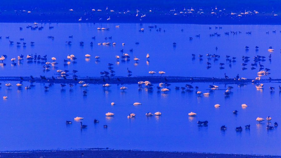 沙上并禽池上暝