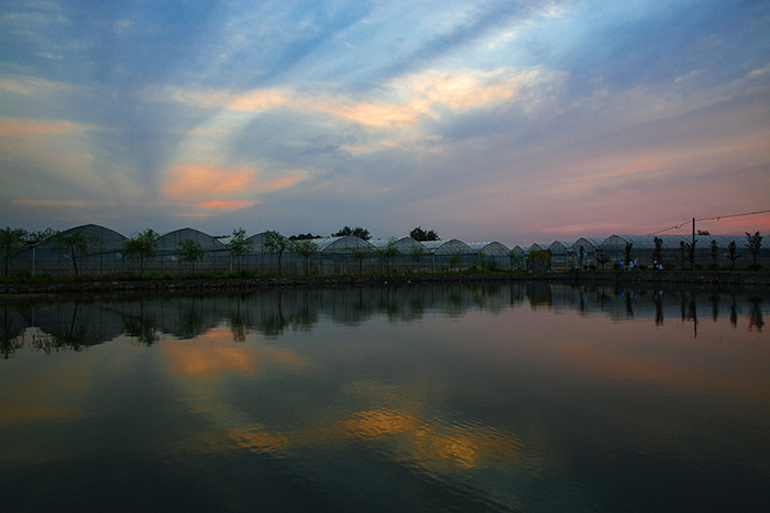 经过农田基本改造,农村土地集约化经营,农民朋