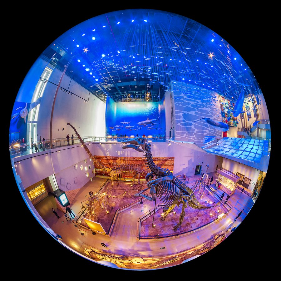 广东省博物馆古生物与海洋馆