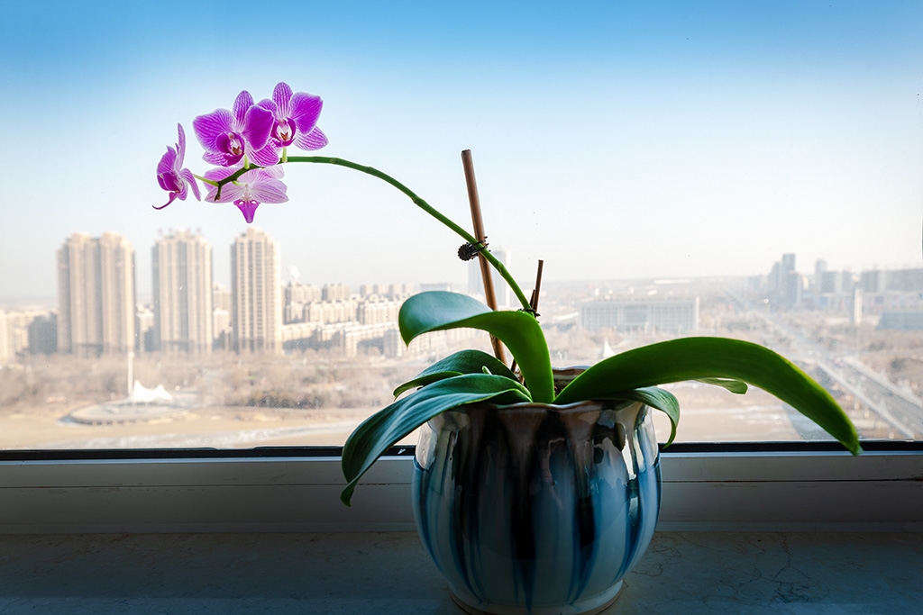 我的城市我的家