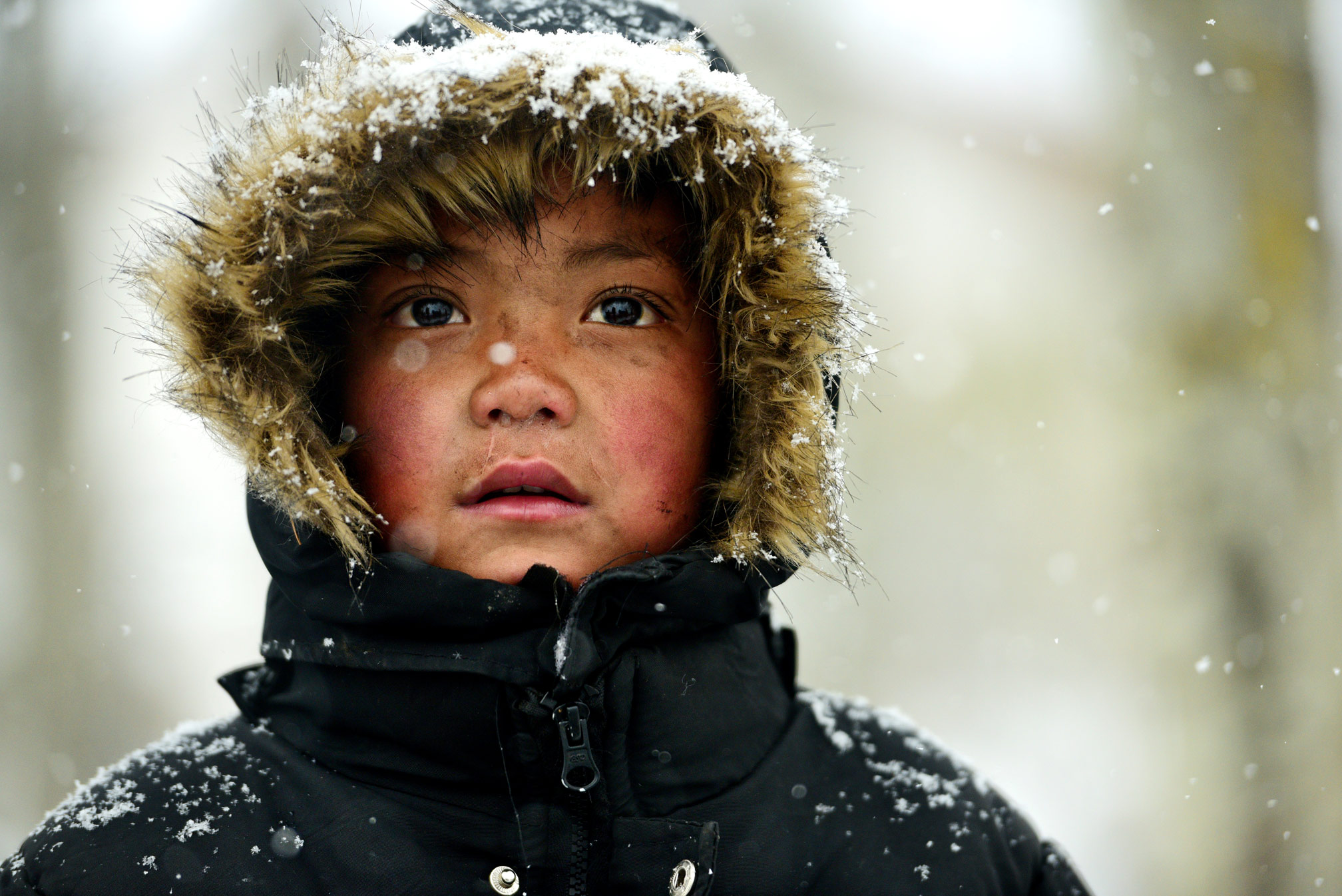 《期盼》潇潇竹