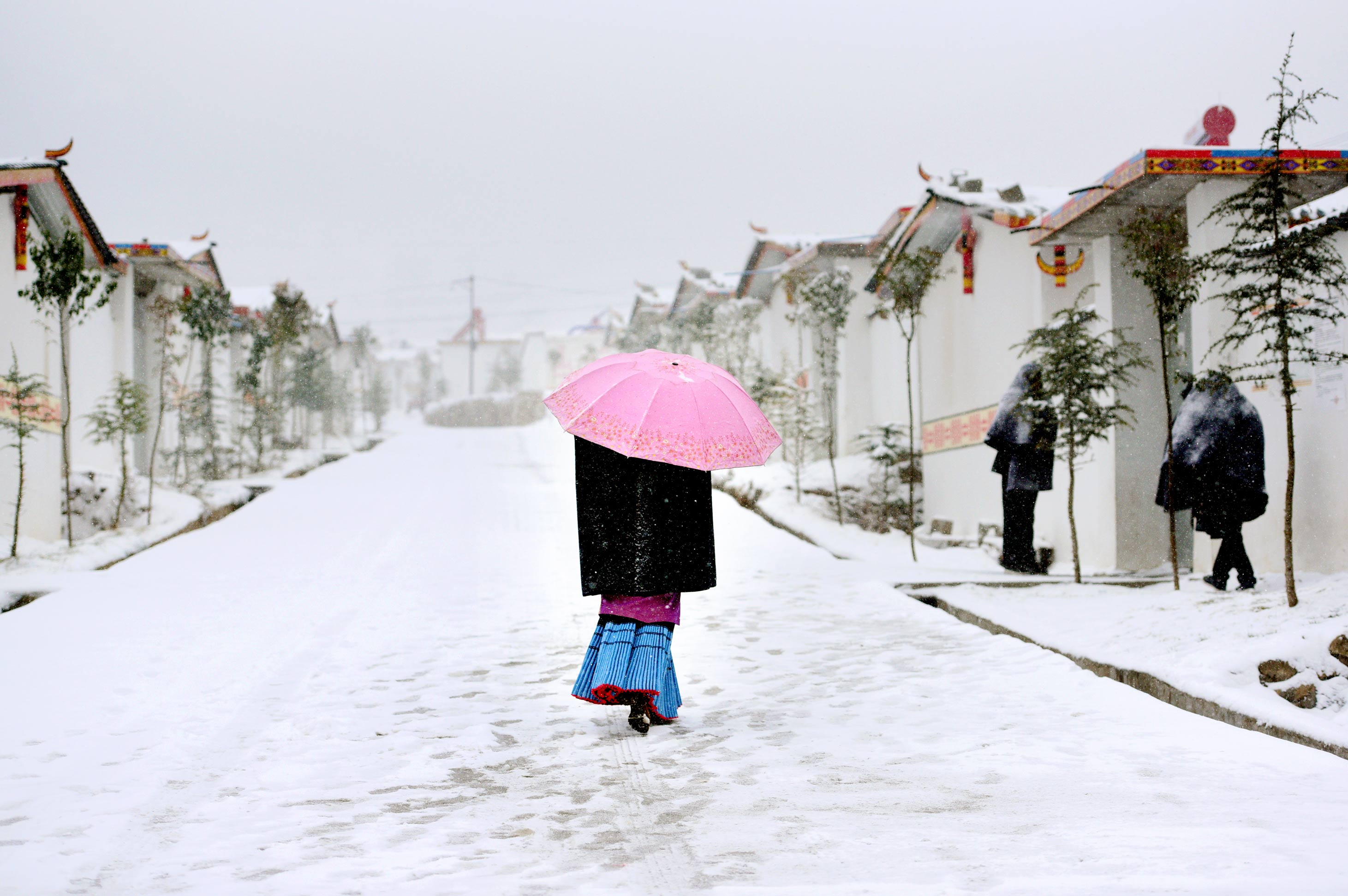 《彝乡新雪》潇潇竹
