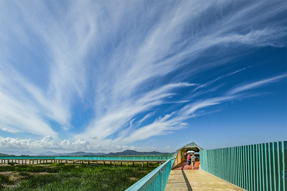 2020河南博物院敞开时间+地址