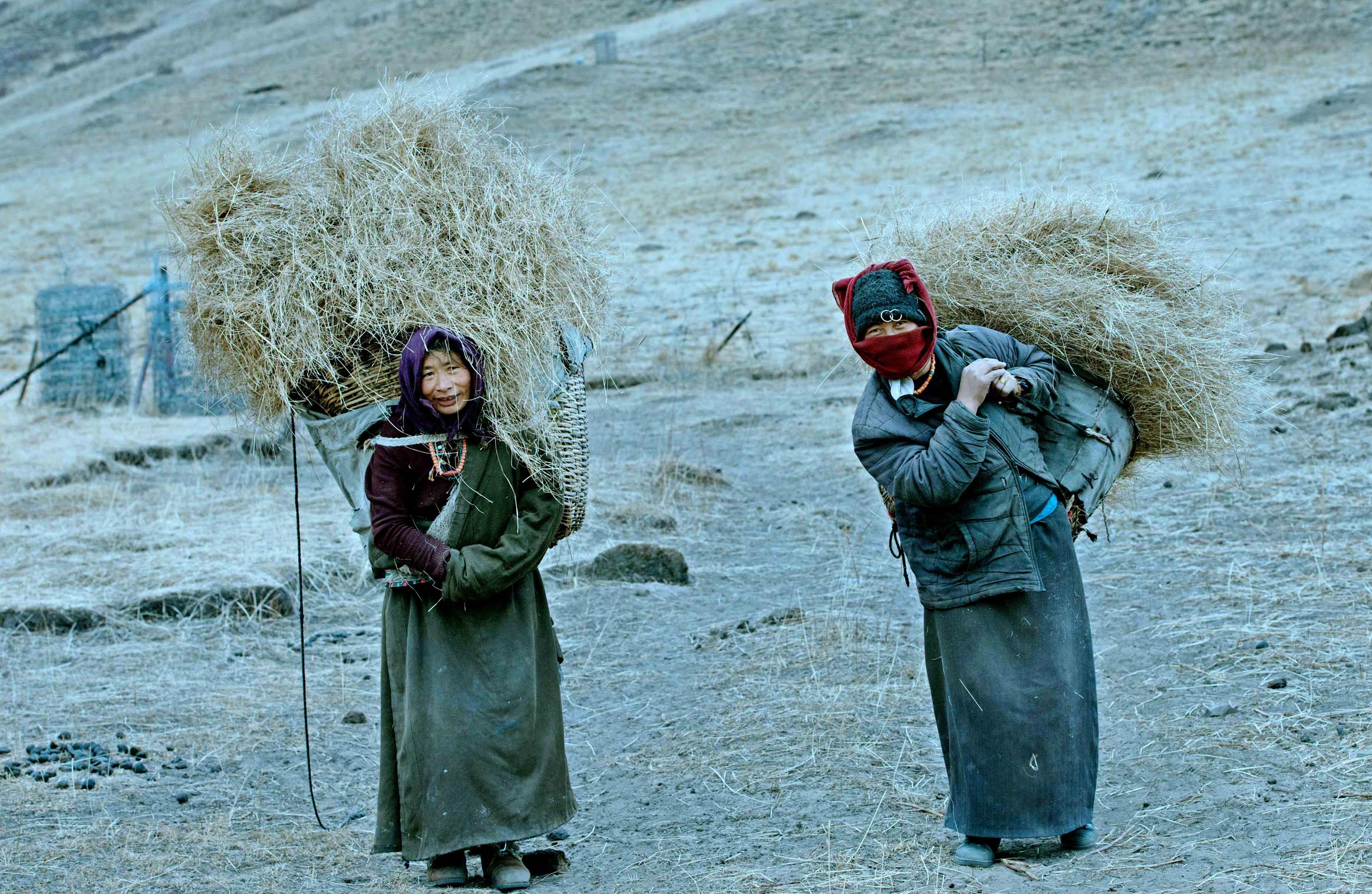 《打草归来》潇潇竹