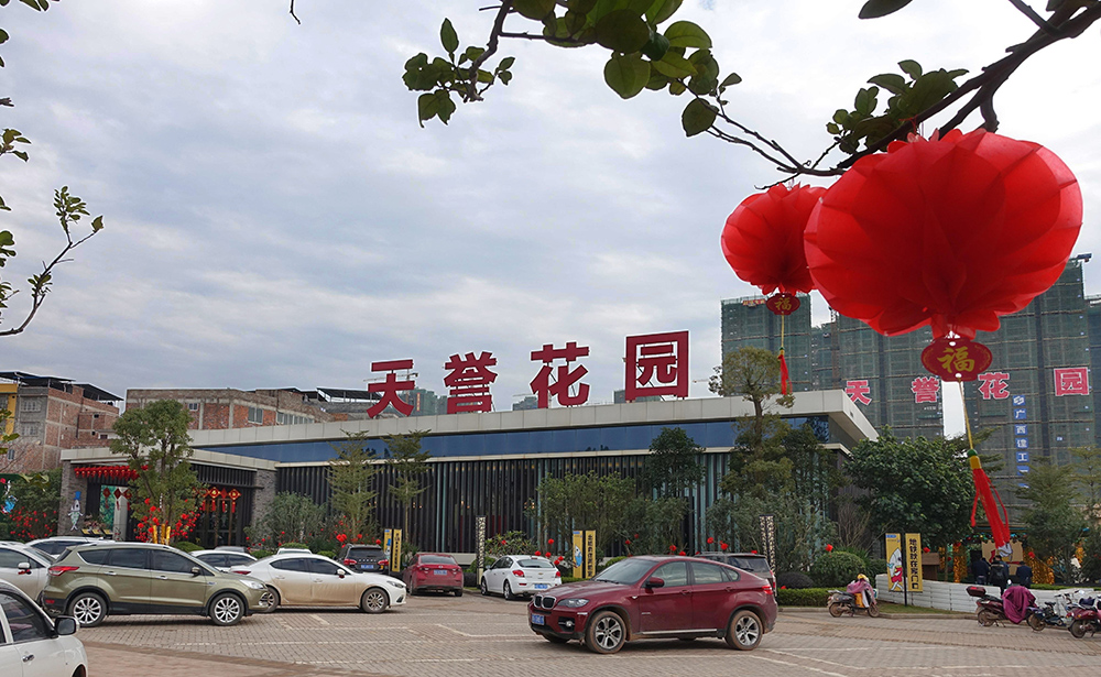 国家政策代款给我有新家