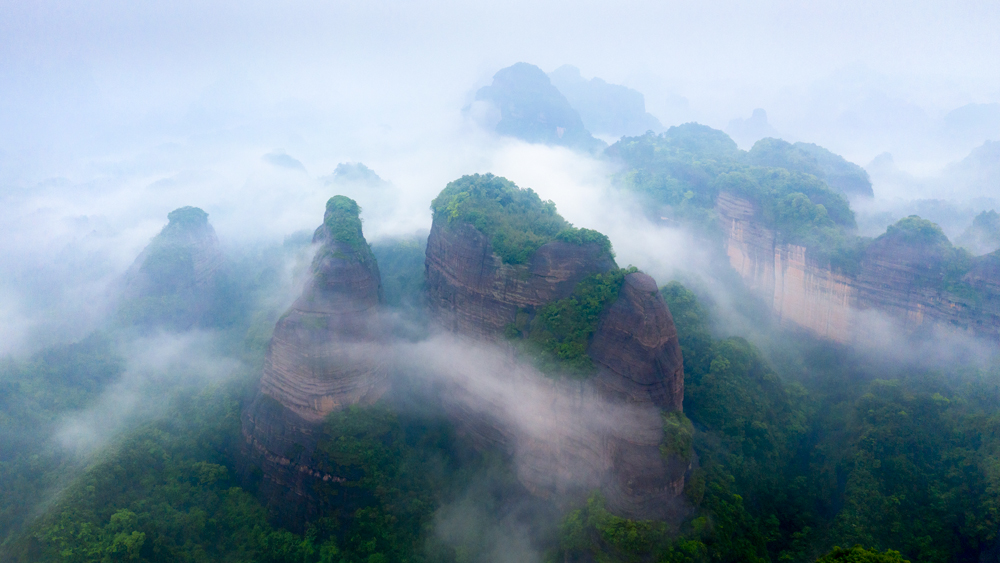 只愿身在此山中