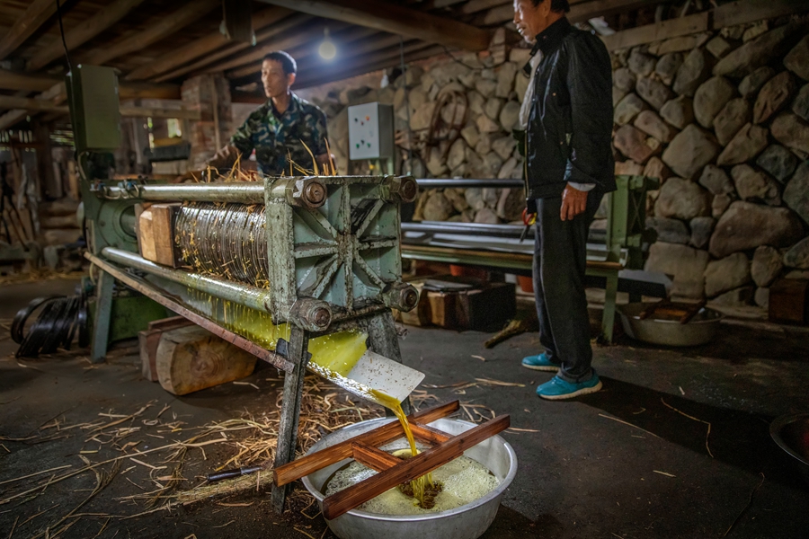 与现存许多秉承古老工艺的油坊主要以压榨菜籽油不同,这家油坊产