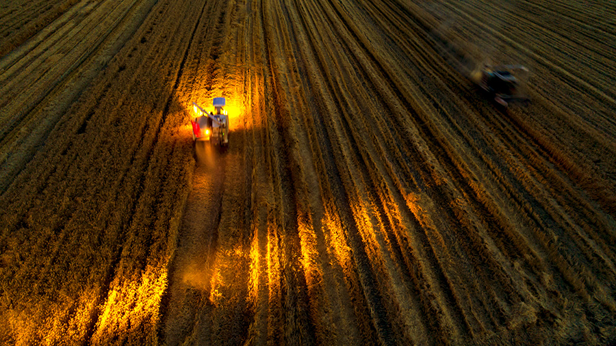 参加最美之光摄影大赛。生命之光--王凤玲摄影