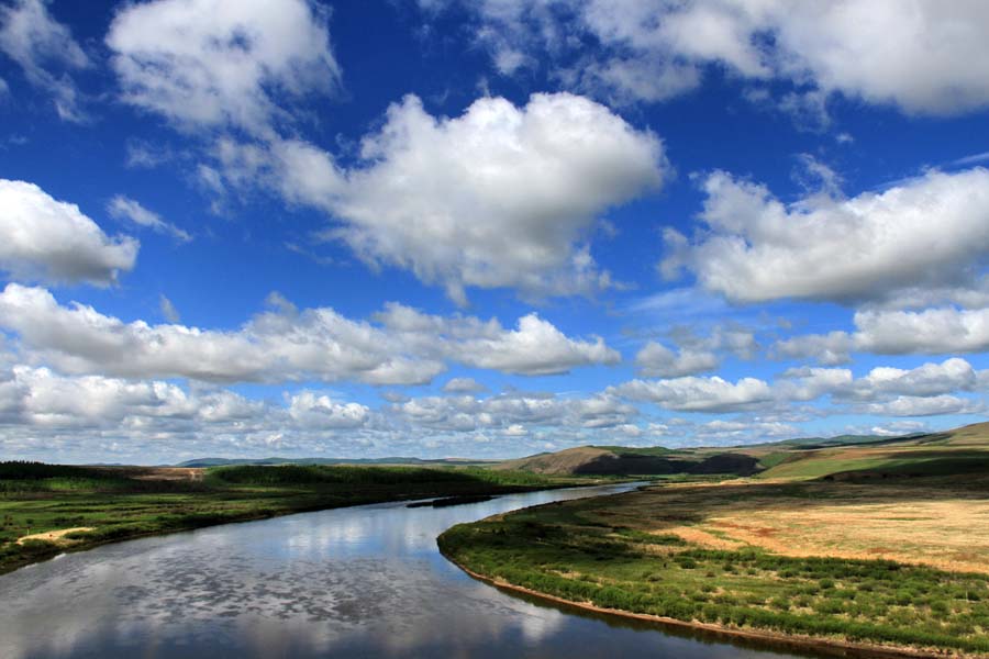 参加最美之光摄影大赛。生命之光--王凤玲摄影