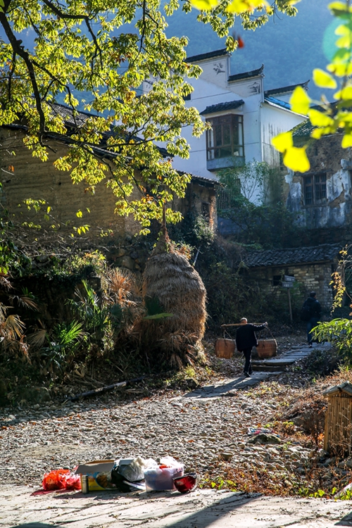 徽风秋韵山村路,2019年11月15日摄于石台白石岭