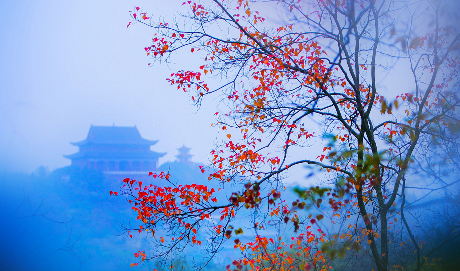 “光影艾山·邳州之巅”摄影大展征稿启事