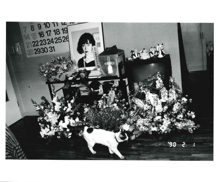 荒木经惟:感伤之旅/堕乐园 1971-2012