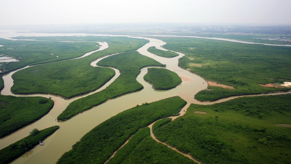 主要景点有:廉江新八景之一红树绿韵(红树林).