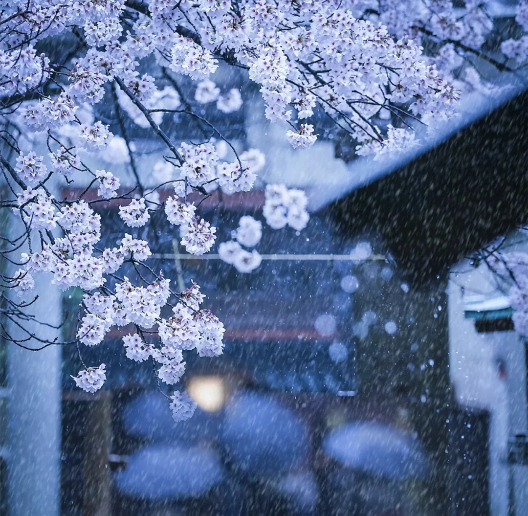 张望禅意摄影学院首期【禅意摄影月赛】正式启动