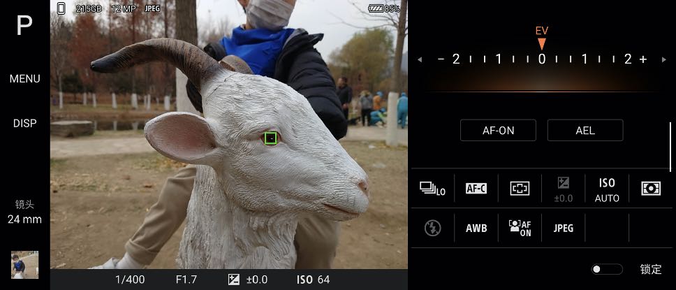 除了常见的猫狗,一些眼睛比较明显的动物也可以被精准识别.