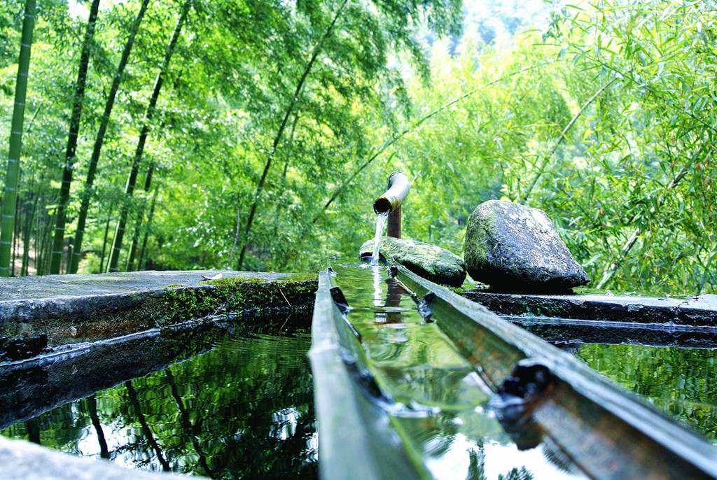 竹林山泉 - 初出茅庐 - 大众摄影网