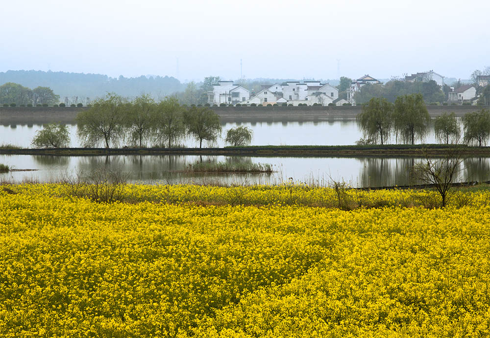 高淳县桠溪镇蓝溪村 - 新农村 - 大众摄影网