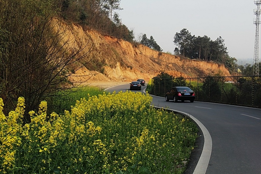 最美乡村公路——2014_03_16摄于四川省崇州市道明镇