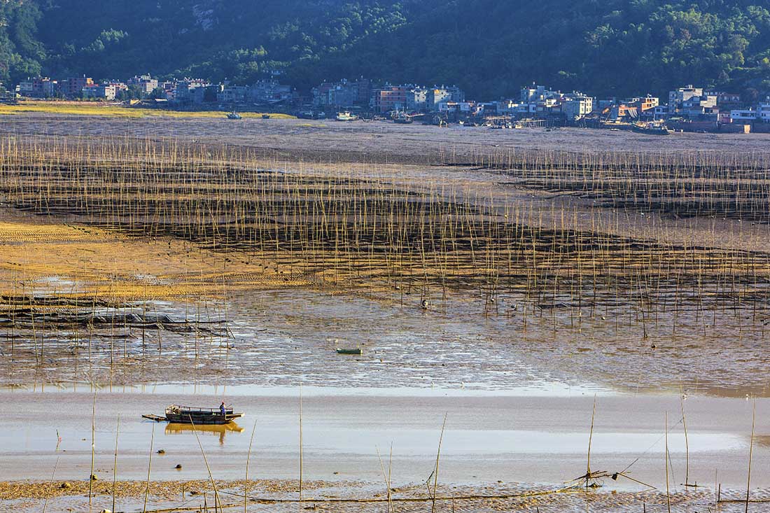 福建霞浦北岐村清晨景色.