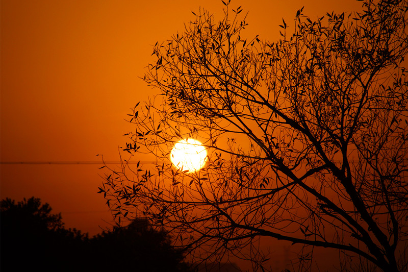 魅力自然 - 大众摄影网