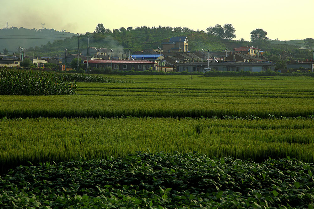 田园风光 东北乡村景色 2015年8月20日摄于抚顺