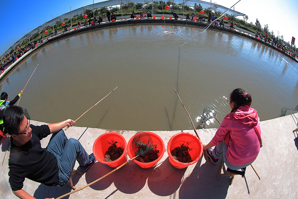 钓蟹- 大众摄影网