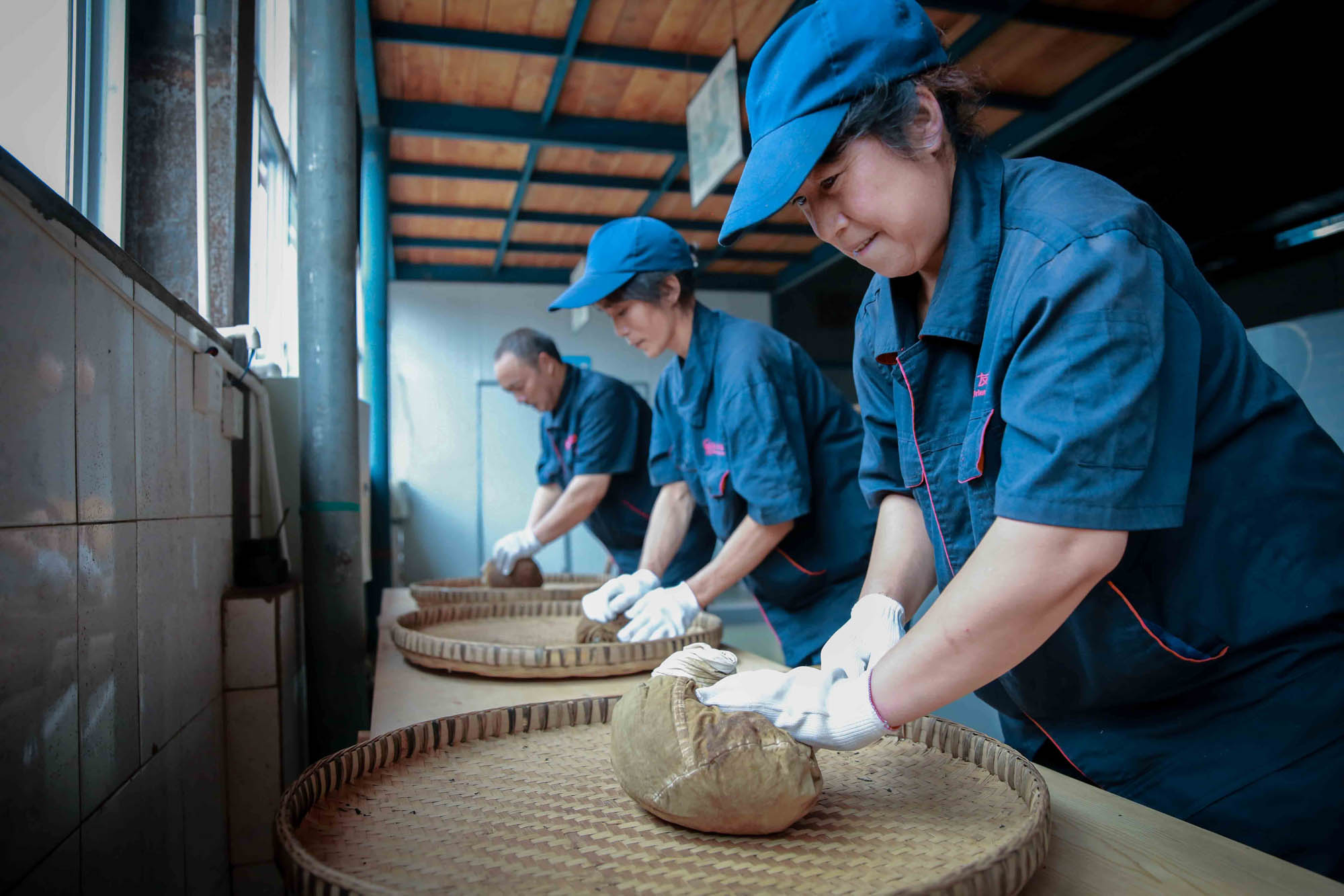 跟拍雅安藏茶制作过程(组图)